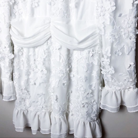 NWT BLUSH Lace Applique Mesh Ruffle Mini Dress - Picture 2 of 5